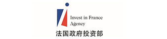 法國政府投資部